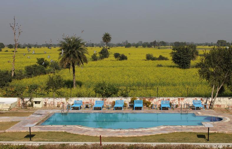 Kadamb Kunj Resort Bharatpur Eksteriør billede